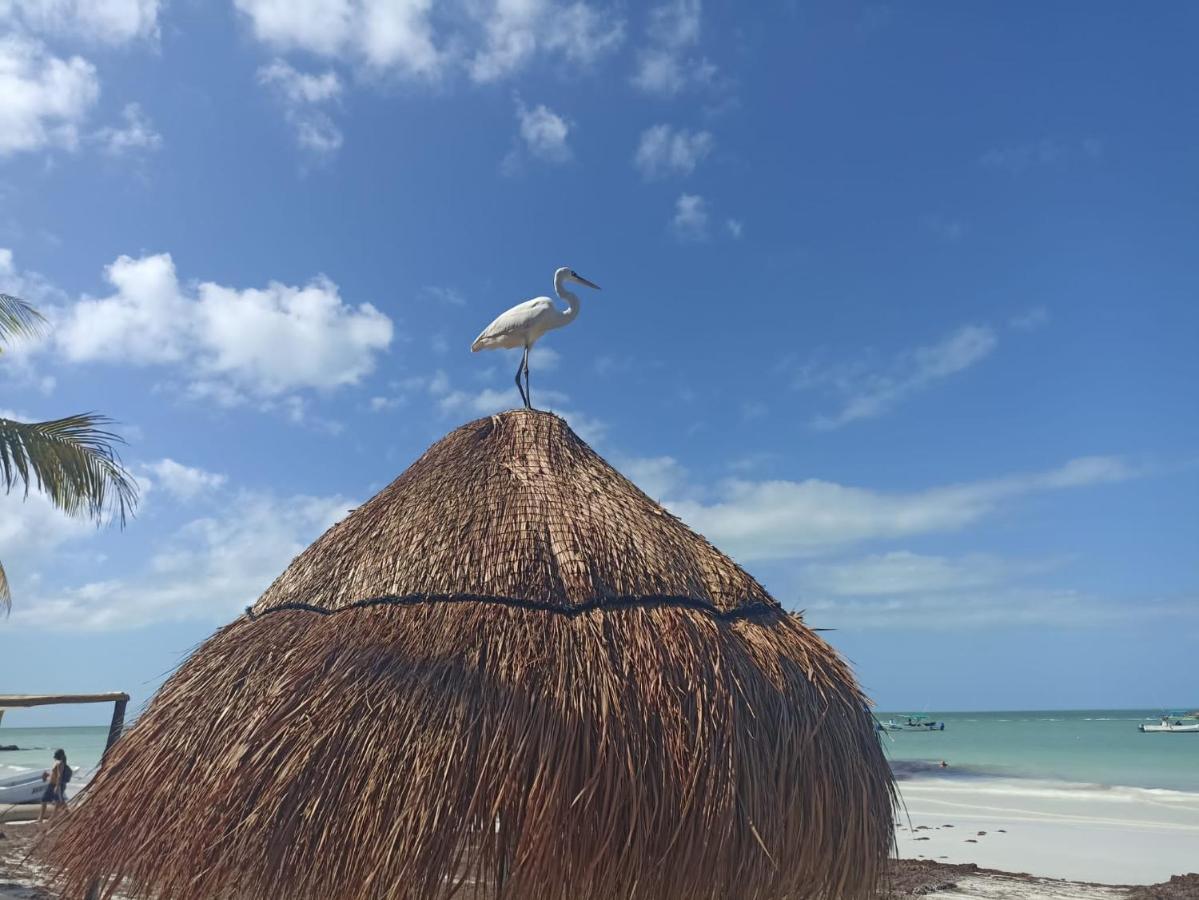 Hostel Utopia Isla Holbox Exterior foto